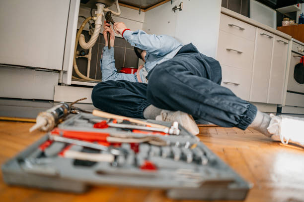 Best Local Plumber Services  in Walden, TN